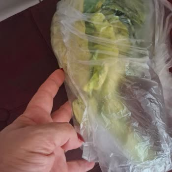 Getir'den Bozulmuş Kara Lahana Ücret İadesi