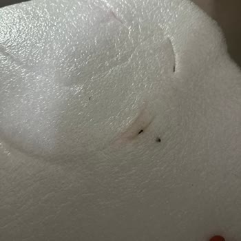 Kargo Şirketinin Dikkatsiz Taşıması Ürünümün Kutusunu İslattı Ve 900 TL Ek Ücret Talep Ettirdi