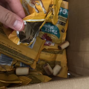 Hasarlı Köpek Maması Ve Açılmış Ödül Paketi İçin İade Talebi