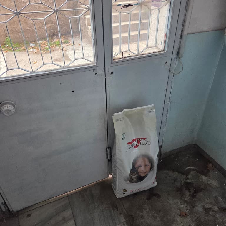 Ağır Kargo Katına Çıkarılmadı Müşteri Kendisi Taşımak Zorunda Kaldı