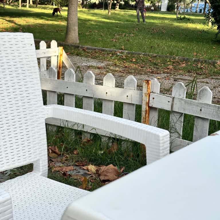 Fenerbahçe Parkında Tasmasız Köpekler Güvenliğe Tehdit