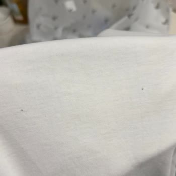 İki Delikli Tişört İadesi Ve Mağazanın Yetersiz İlgisi