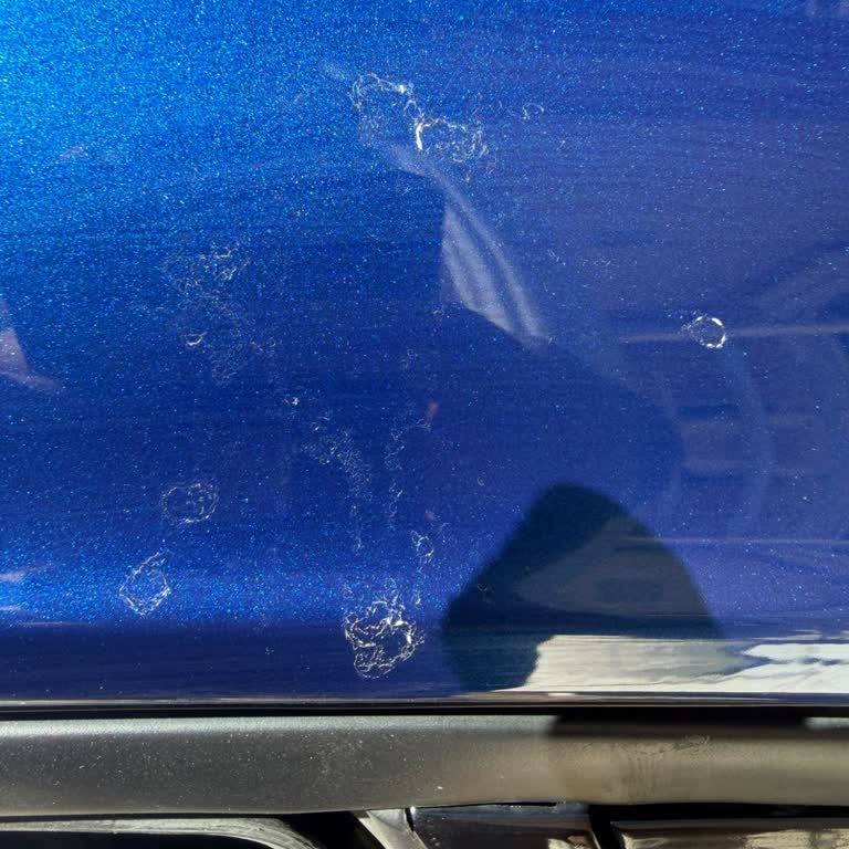 Renault Clio Boya Kusuru Ve Ciddiyetsiz Servis Yaklaşımları