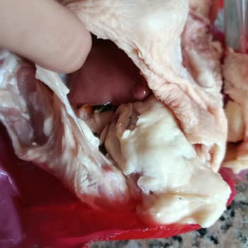 Lezita Markasından Temizlenmemiş İç Organlı Tavuk Ve Hijyen Sorunu