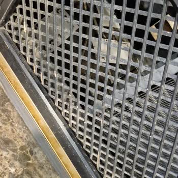 Hijyen İhlali: Tatlı Reyonunda Canlı Ve Ölü Böcekler
