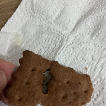 BİM Pötibör Bisküvi İçindeki Siyah Madde Ve Delik Tüketiciyi Endişelendiriyor
