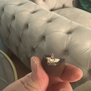 Yenimahalle Şubesinde Bayat Kaju Ve Böcekli Çikolata Kaplı Kaju Şikayeti