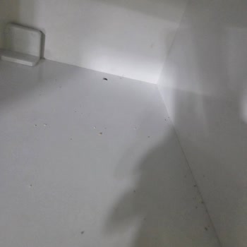 urfaligelin_ile_temizlik Son Derece Olumsuz Deneyim Yaşadık