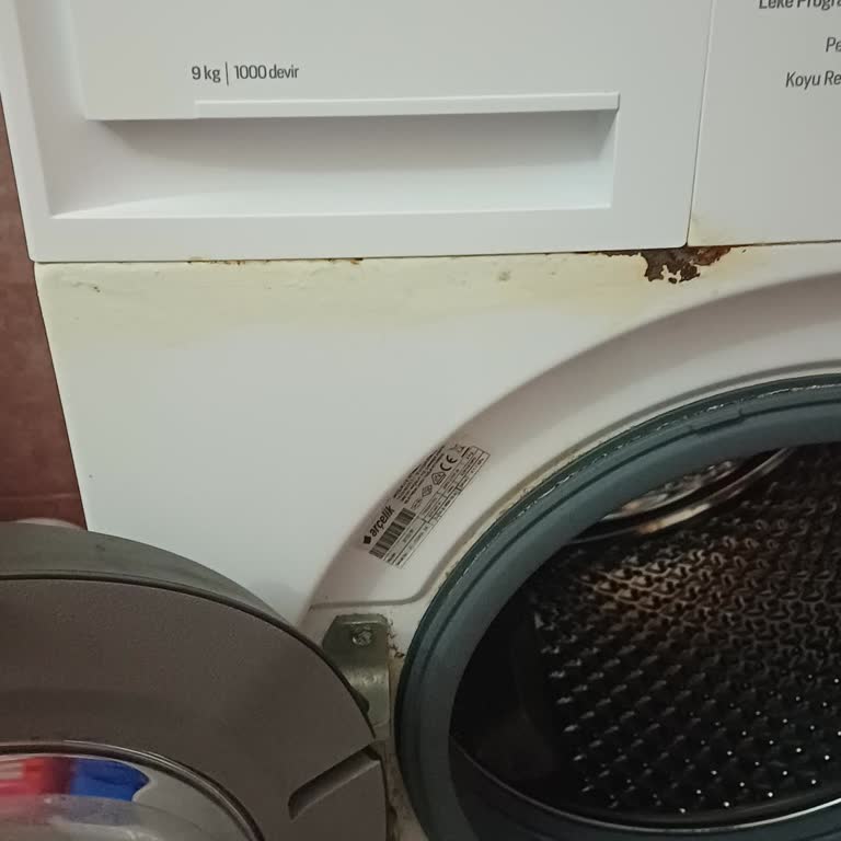 Arçelik 9100M Çamaşır Makinesinde Tekrarlayan Kapak Küflenmesi Ve Ücretsiz Parça Değişimi İsteği