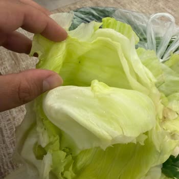 Yemekte Böcek Bulunması, Hijyen İhlali Ve İade Talebi