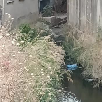 DSİ’den Bornova Doğanlar’da Sel Riski Taşıyan Dereye Acil Müdahale Talebi