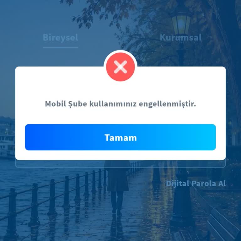 Mobil Ve İnternet Şubelerinde Erişim Engeli, Acil Borç Ödeme Talebi