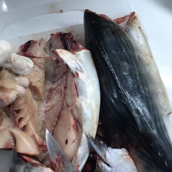 Carrefour Şubesinde Bozuk Palamut Satışı Sağlık Tehlikesi