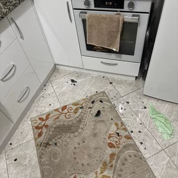 Kumtel Cam Ocakta Patlama: Güvenlik Ve Müşteri Hizmetlerine Dair Şikayet