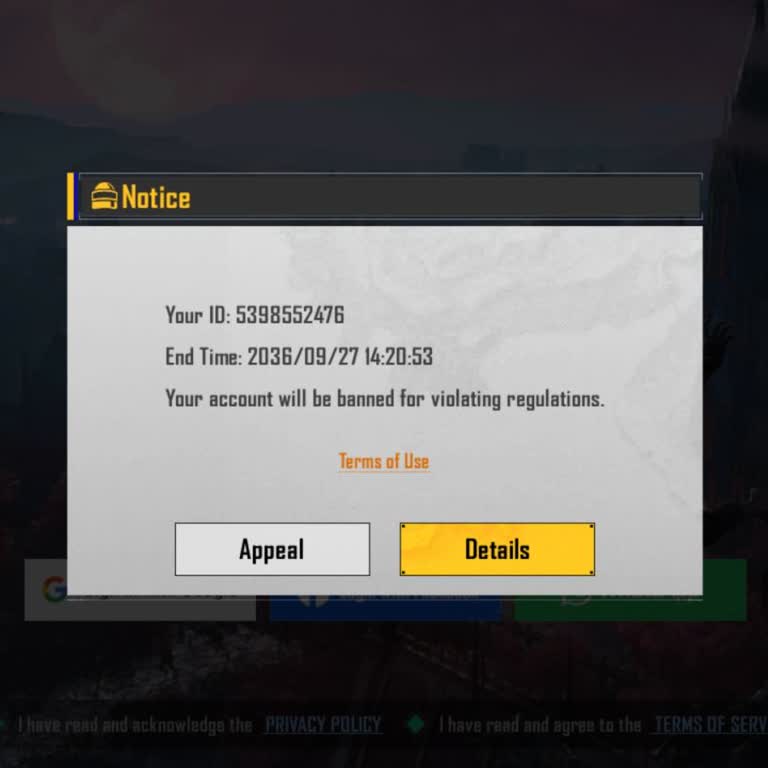 Battlegrounds Mobile India Ban Appeal Request