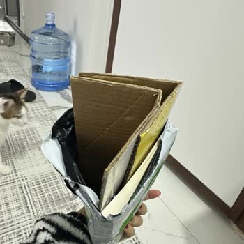 Kolay Gelsin Kargo'nun Kapıya Bıraktığı Yırtık Ve Açık Paket