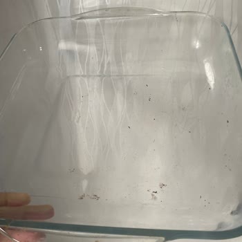Fairy Bulaşık Tabletleri Çözülmediği İçin Kirli Ve Lekeli Bulaşıklar