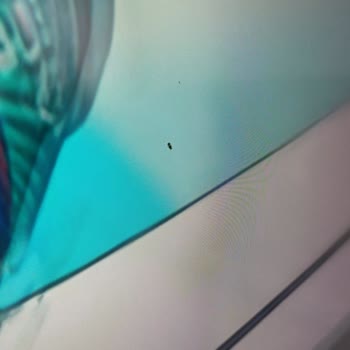 TCL Televizyonumda Ölü Piksel Sorunu Ve Garanti Kapsamında Çözüm Talebi