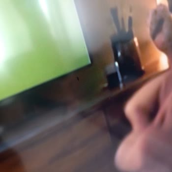 TCL Televizyonumda Ölü Piksel Sorunu Ve Garanti Kapsamında Çözüm Talebi