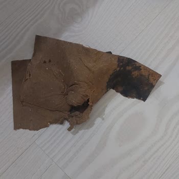 Teslimat Gecikmesi Ve Küflü Koltuk Şikayeti