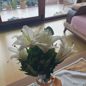 Çiçek Sepeti Yanıltıcı Görsel Ve Solmuş Lilyumlar Nedeniyle Tam İade Talebi