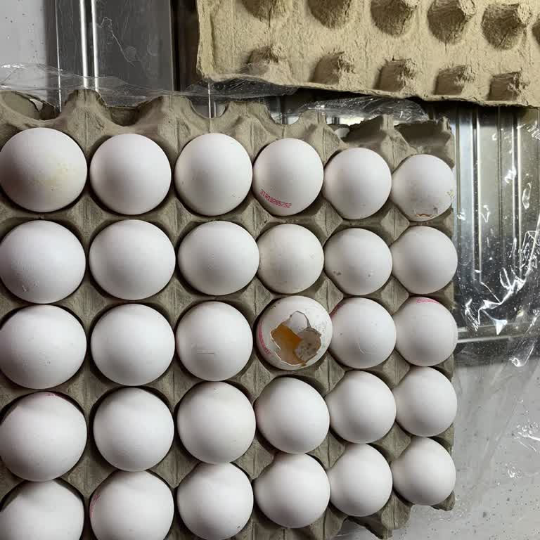 BİM Erzincan Mağazasında Satın Alınan Yumurta Paketi İçinde Kırık Yumurta