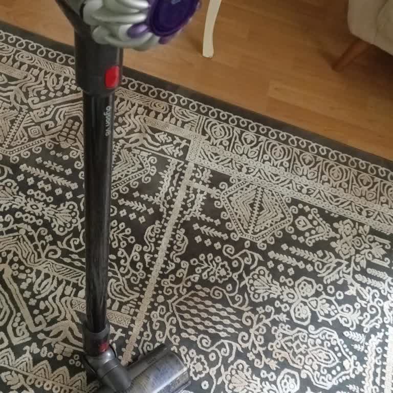 Garanti Sonrası Dyson V8 Batarya Arızası Ve Çifte Standart Şikayeti