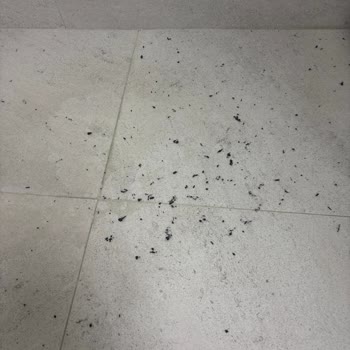 H&M Kapüşonlu Hırkada Tek Yıkamada Aşırı Tüy Dökülmesi Ve İade Talebi