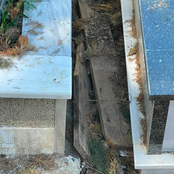 Hekimbaşı Mezarlığı'nda Ada 10, Mezar 941 Çevresindeki Temizlik Ve Bakım İhmalinin Düzeltilememesi