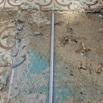 Ortak Kanalizasyon Bağlantısının Ayrılması Talebi