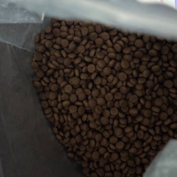 Bozuk Royal Canin Mama İçin Ücret İadesi Ve Kalite Kontrol Talebi