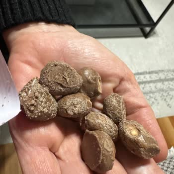 Kahve Dünyası Bonte Sütlü Çikolatası Bozulmuş Ve Tüketilemez Durumda