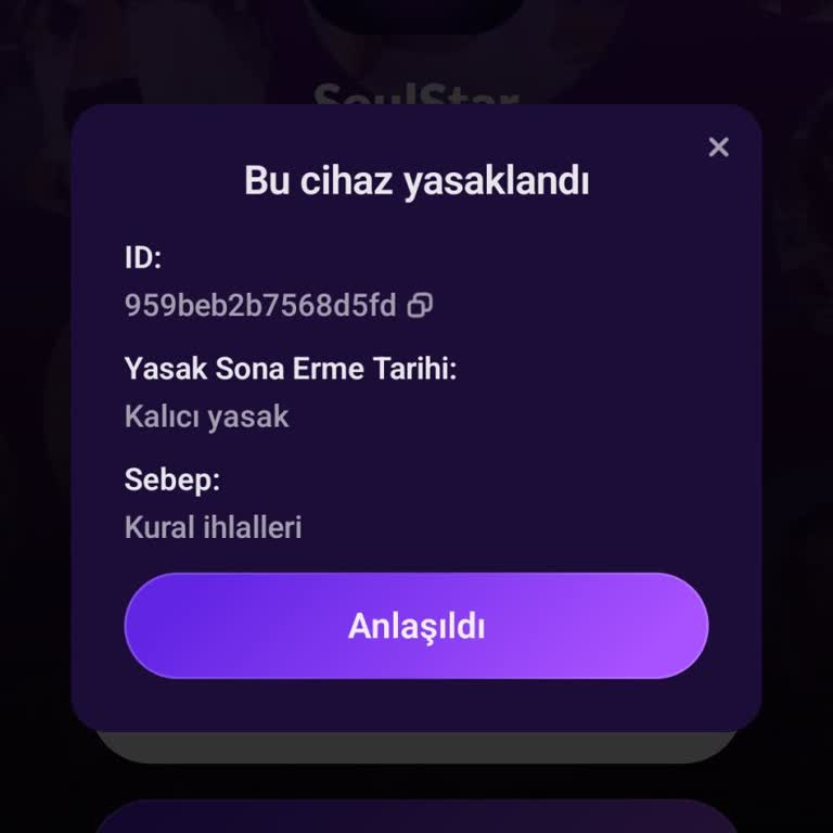 Sesli Sohbet Uygulamasında Hesabım Yetkisiz Giriş Sonrası Haksızca Yasaklandı