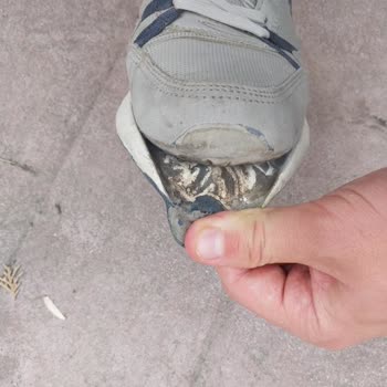 FLO Mağazasından Alınan Us Polo Ayakkabısının Kısa Sürede Yırtılması Ve Değişim Talebi