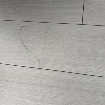 Roborock Q8 Max Zeminlerde Siyah Lekeler Bırakıyor Ve Ürün Ayıplı