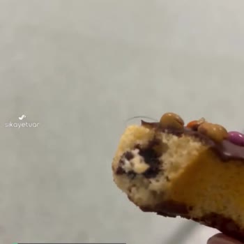 Şölen Papita Donut İçerisinde Kıl Çıktı