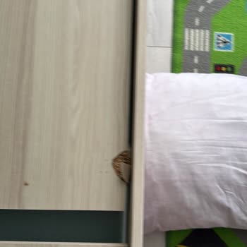 Çocuk Yatağının Destek MDF Parçası Tekrar Kırıldı Ve Parça Teslimatı Gecikti
