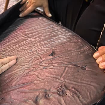 Ayıplı Köpek Yatağı Ve Cevapsız İletişim Nedeniyle Geri Ödeme Talebi