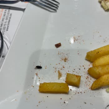 Berrak Çarşı Şubesinde Patates Kızartmasında Ölü Sinek Ve Umursamaz Personel