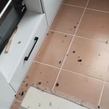 Patlayan Ocak Ve Garanti Reddi Nedeniyle Servis Ücretinin İadesi