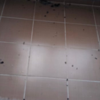 Patlayan Ocak Ve Garanti Reddi Nedeniyle Servis Ücretinin İadesi