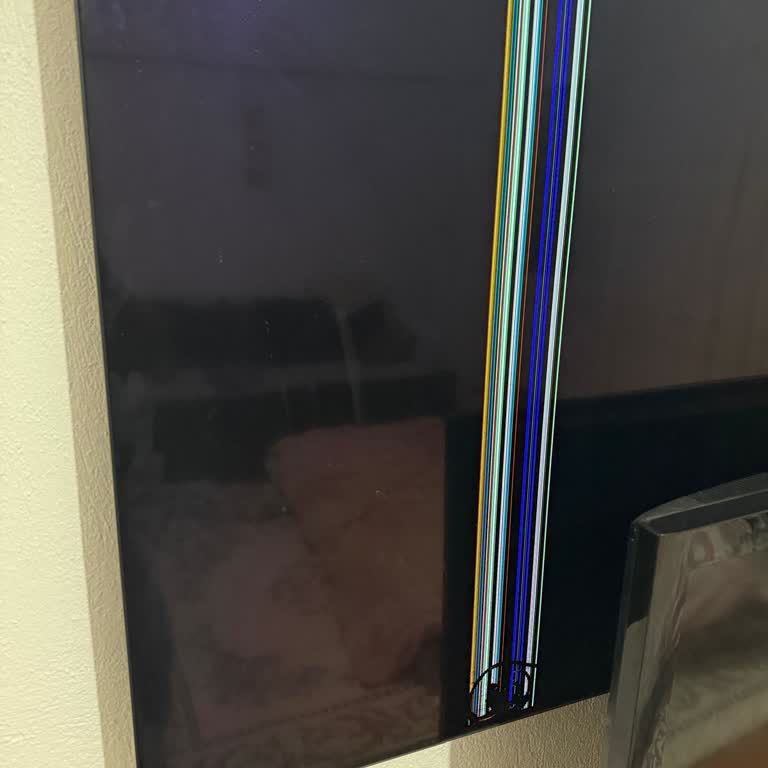 Tamir Edilmeyen LG TV Ve 20 Bin TL Geri Ödeme Sorunu