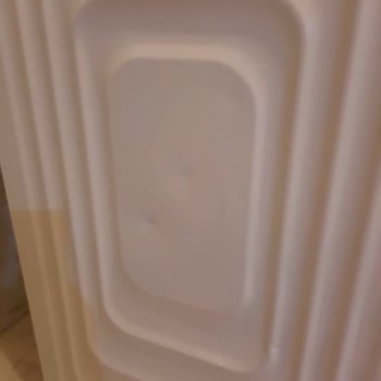 Ayıplı Çamaşır Makinesi Değişim Talebimin Reddedilmesi Ve Servis Gecikmesi
