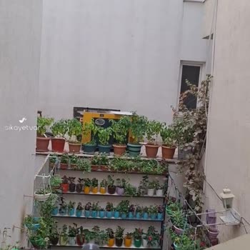 Şok Marketler Jeneratörün Gürültüsü
