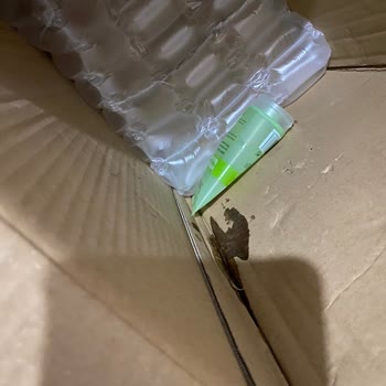 Kargolar Geç Geliyor Ve Paketleme Özensiz Ürünler Sızıyor