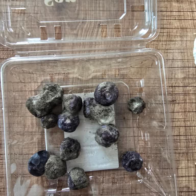 Migros Tellidere Şubesinde Bozuk Ürünler Ve Umursamaz Çalışanlar