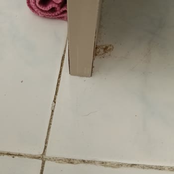 Vestel Bulaşık Makinesi Menteşe Arızası Sonrası Su Kaçağı Ve Mutfak Dolapları Zarar Görmesi