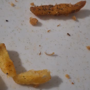Popeyes Şubesinde Yemeğin İçinde Tırnak Parçası Bulunması Ve Cevapsız Şikayet