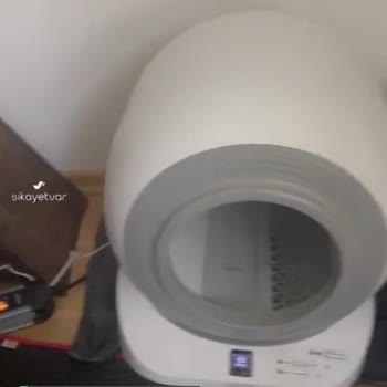 Oyuncakhobi Groove Kedi Tuvaleti Hüsranı!