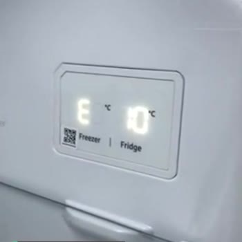 Samsung Buzdolabı E 10 Hatası